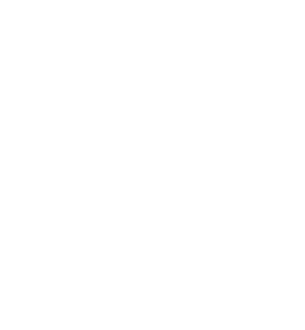 logo negativa xavier ferramentas